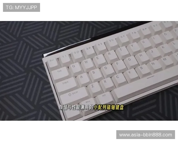如何在ttc键盘官网找到最适合你的游戏键盘型号，详细选购指南一站式解决